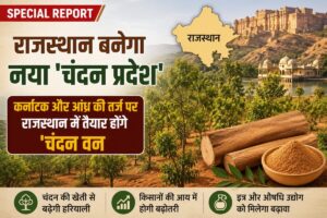 Special Report: राजस्थान बनेगा नया ‘चंदन प्रदेश’— कर्नाटक और आंध्र की तर्ज पर राजस्थान में तैयार होंगे ‘चंदन वन’